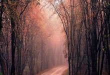 欧冠综合:皇马、阿森纳会师八.