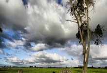 Williamhill:(杭州亚残运会)开幕式的“杭州式浪漫”:用一朵花 诉一段情中国新闻网.