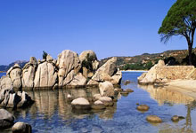 足球——欧冠:皇马胜马竞.